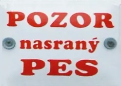 text 7